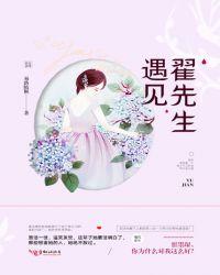 遇见傅先生全文免费