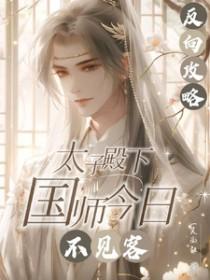 反向攻略太子殿下国师无删减